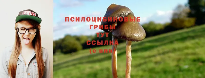 Галлюциногенные грибы Magic Shrooms  Тарко-Сале 